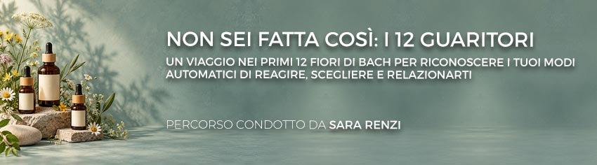 non-sei-fatta-così-percorso-renzi-big.jpg