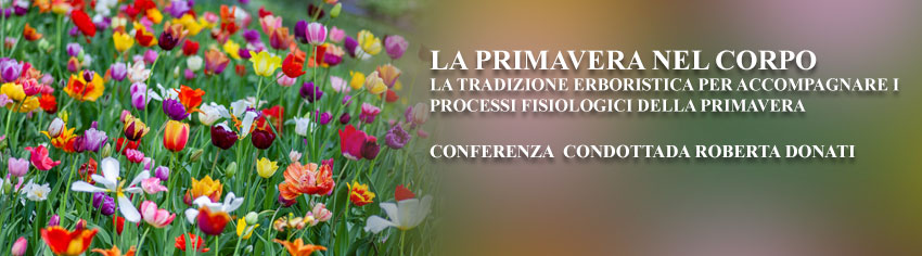 primavera-conferenza-roberta-donati-big.jpg